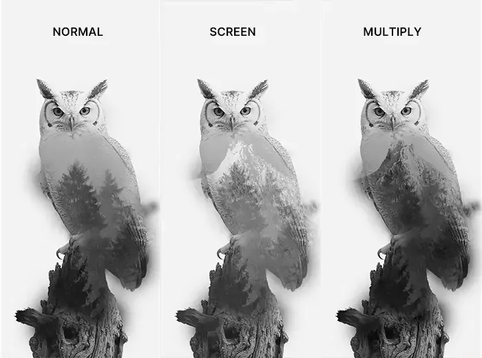 overlay-multiply-blending-mode-demo.webp